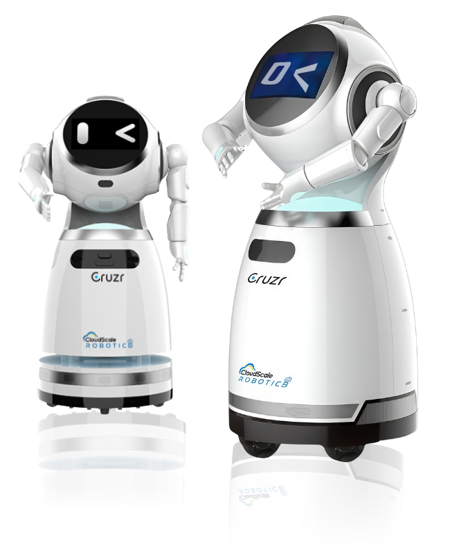 Cruzr Robot